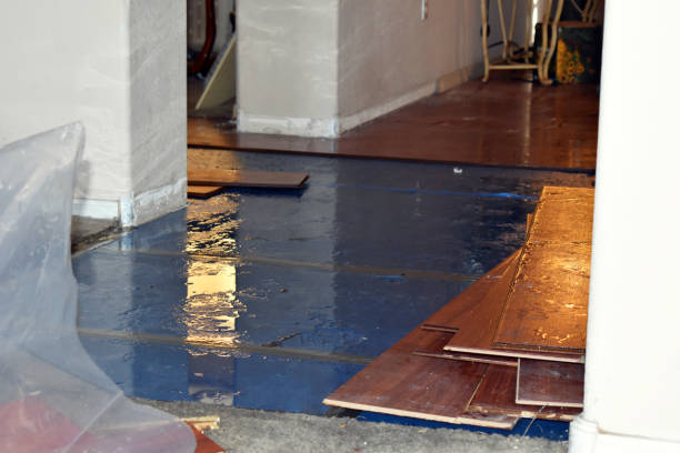 Professional Sewage Cleanup technician working in Stanley, WI